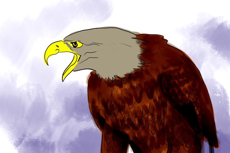 eagle(352).jpg