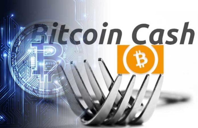 Forking the Fork – Bitcoin Cash Drama Intensifies Over Looming Hard Fork0.jpg