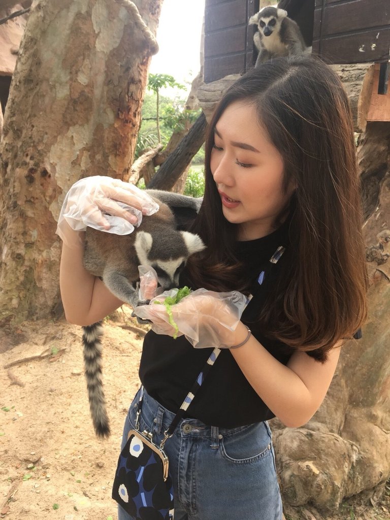 Khao Kheow Open Zoo7.jpg