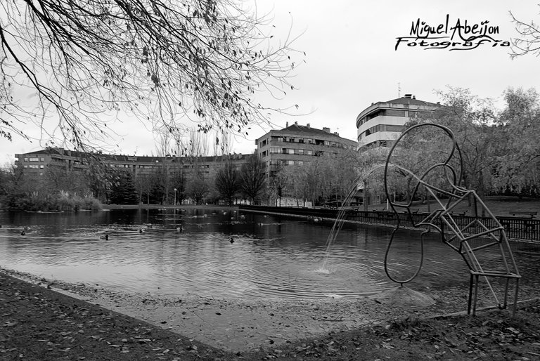 Parke Black and white 4.jpg