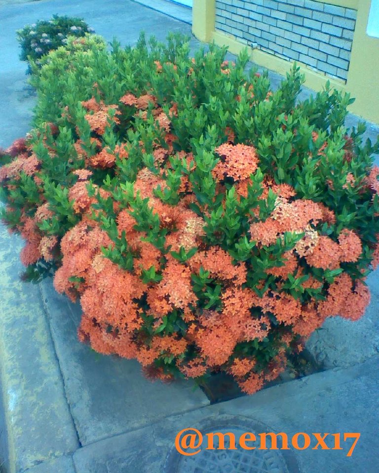 IMG20180912175510.jpg