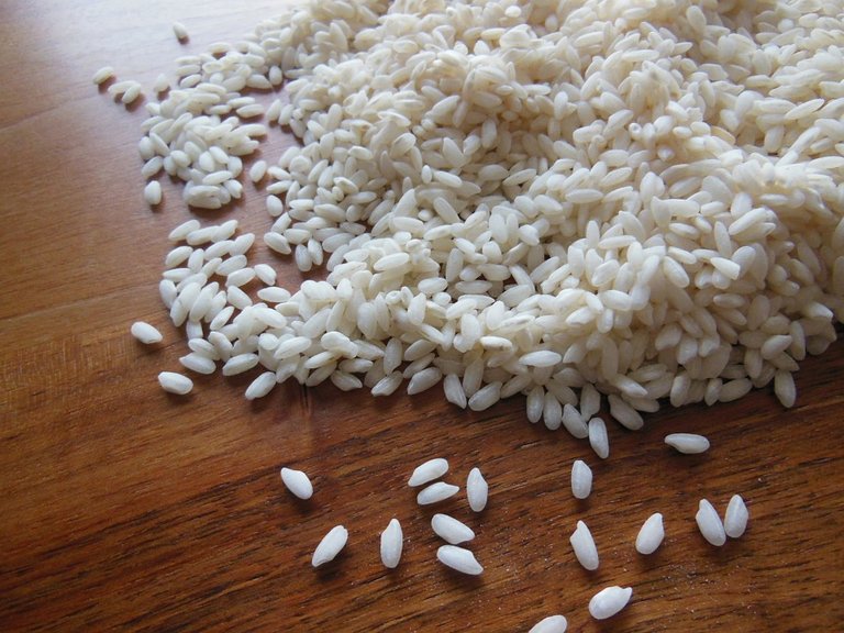 rice-607987_960_720.jpg