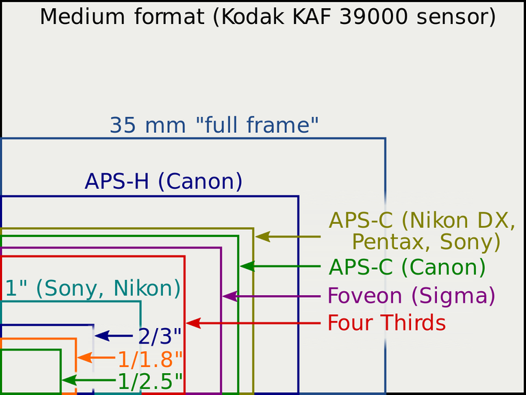 1200px-Sensor_sizes_overlaid_inside.svg.png