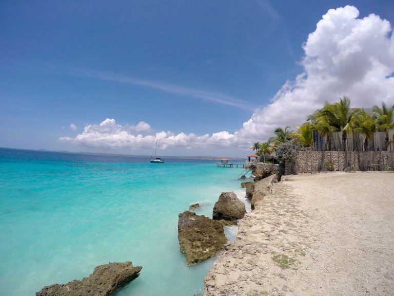 stephen went to bonaire.jpg