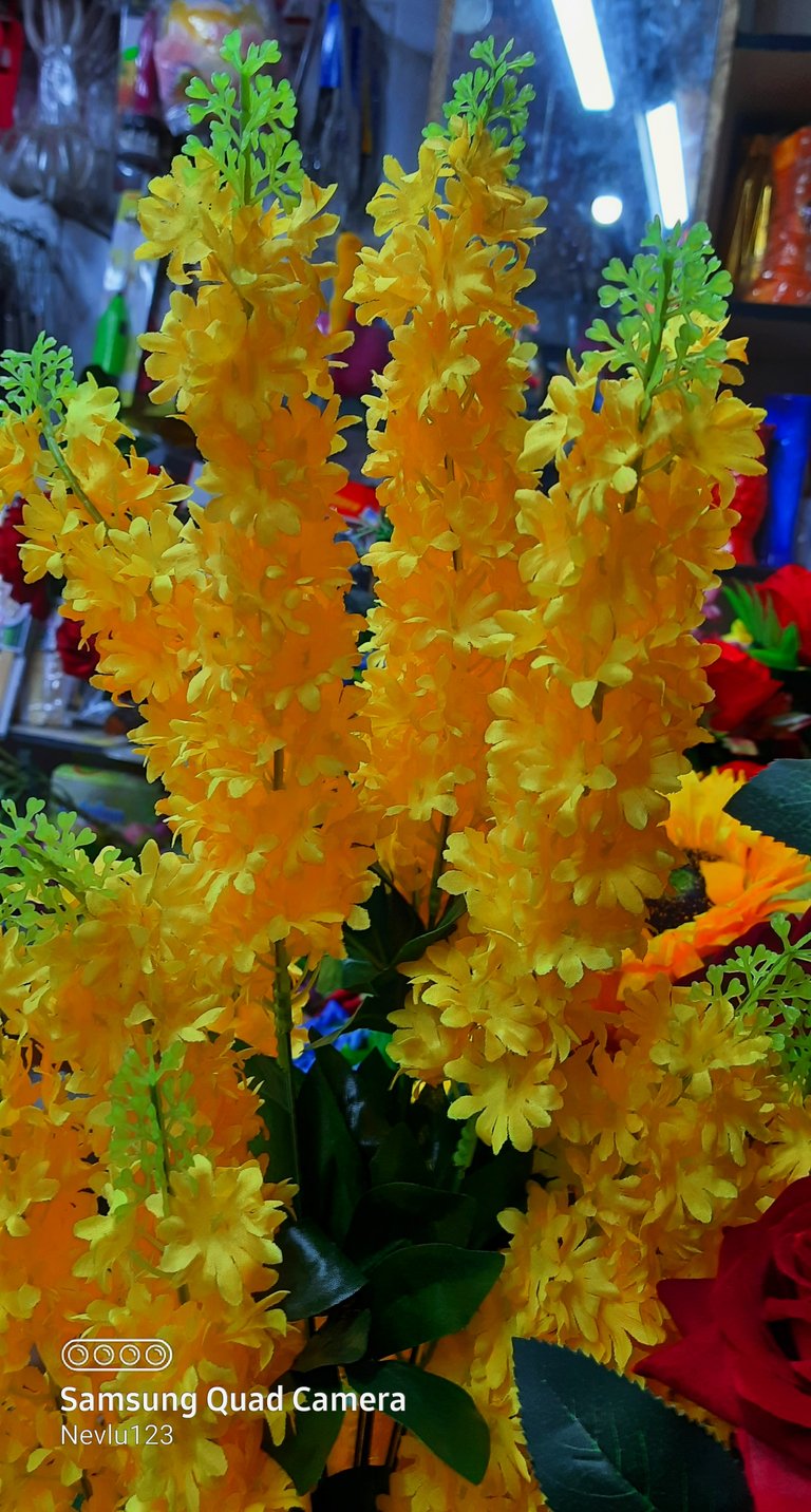 20211110_231705.jpg