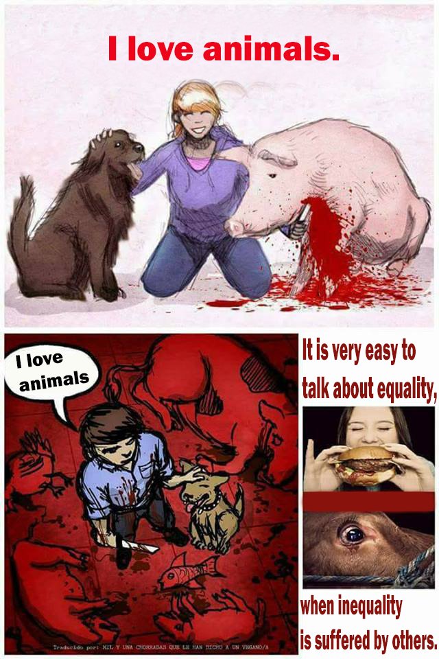 animals.jpg