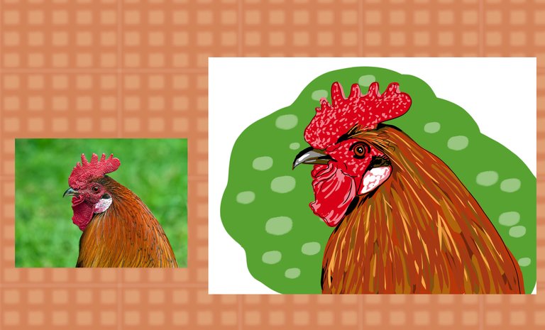 rooster(576).jpg