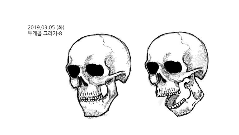 두개골그리기-8.png