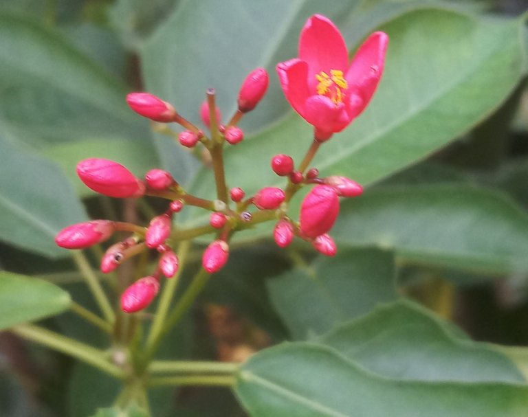 20201003_202513.jpg