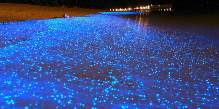 The-Glittering-Sea-of-Stars.jpg