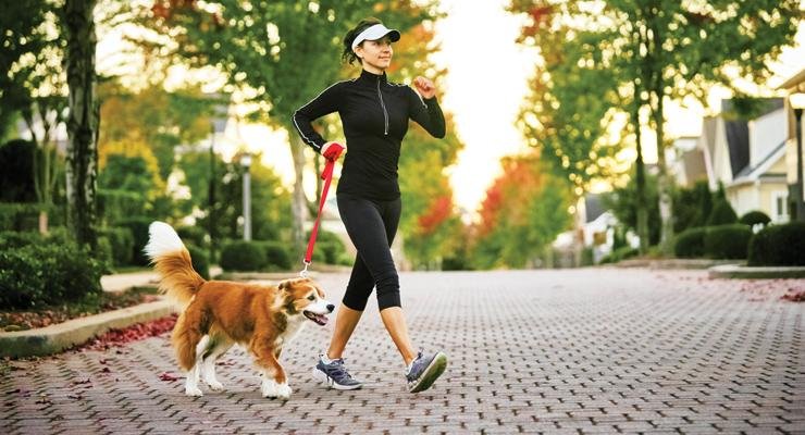 entrenamiento-para-comenzar-a-cainar-perro.jpg