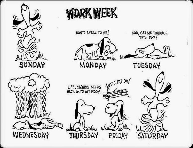 work week.jpg