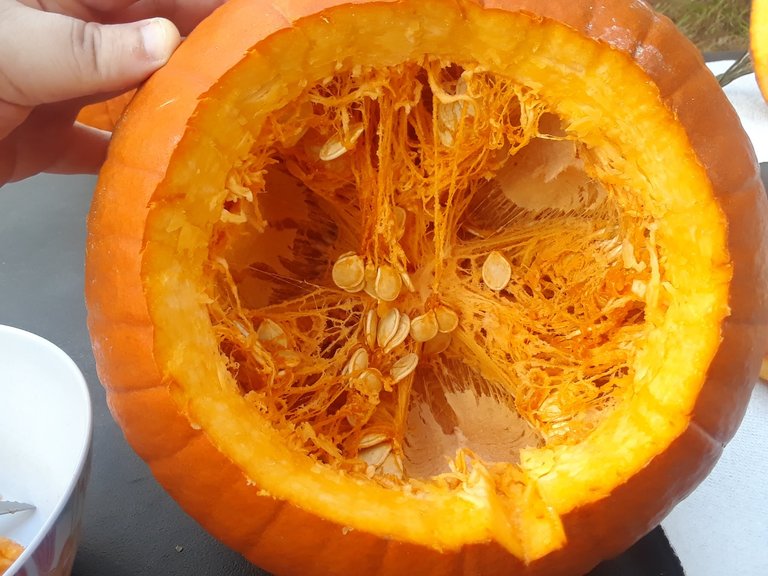 before scoop pumpkin.jpg