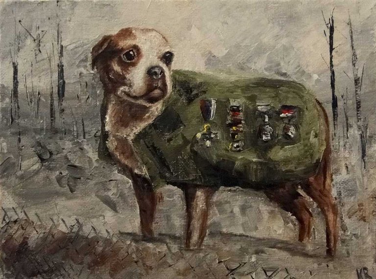 Stubby the dog WW1.jpg