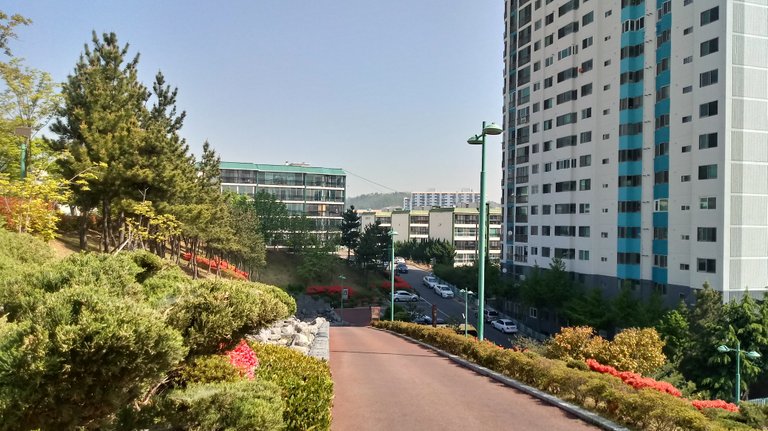 20180421_100159_HDR.jpg