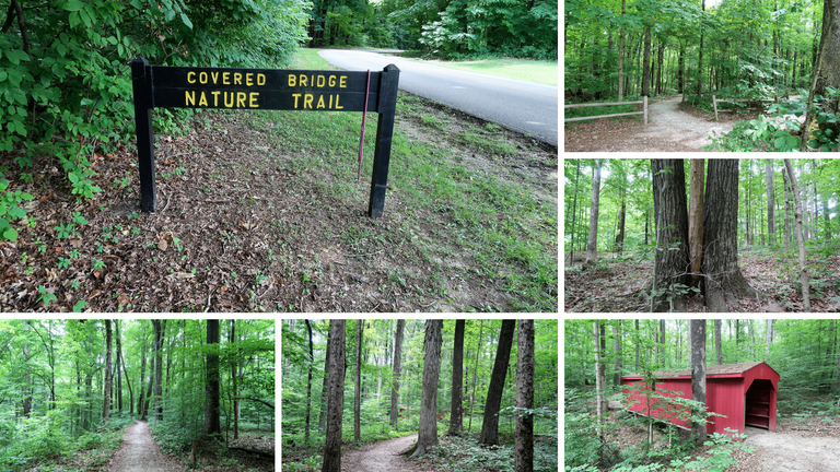 Lieber State Recreation Area at Cagles Mill Lake (4).png