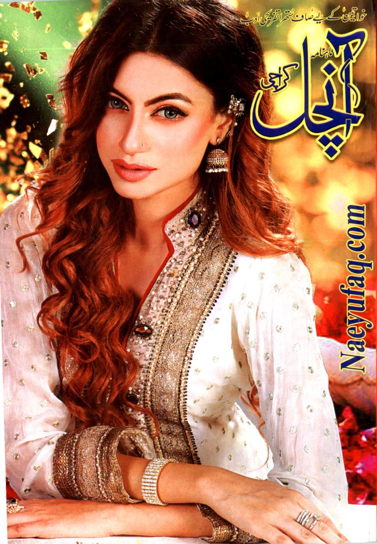 Aanchal Digest October 2019.jpg