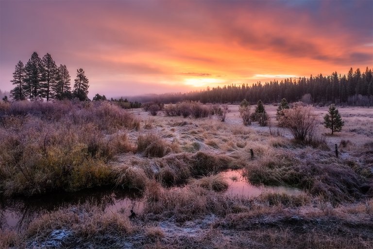 placerville.october.dawn.jpg