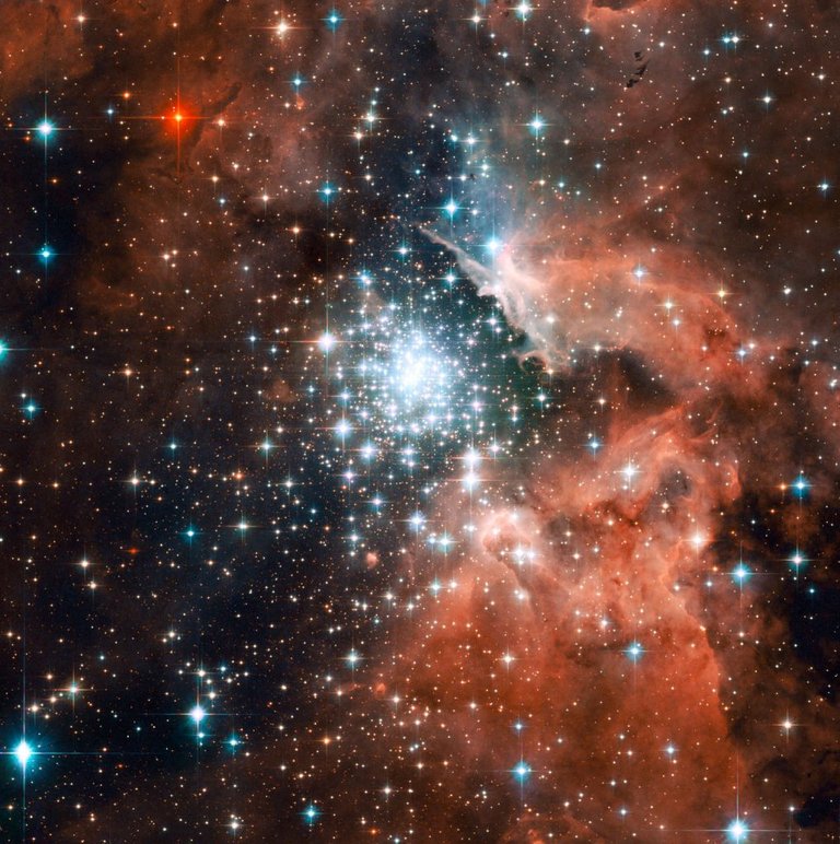 05star_cluster-1019x1024.jpg