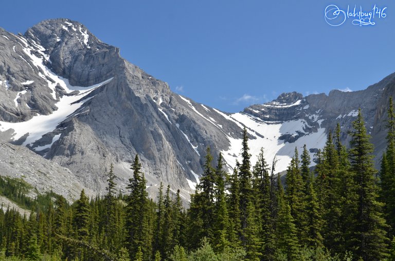 Rae glacier- elbow pass.jpg