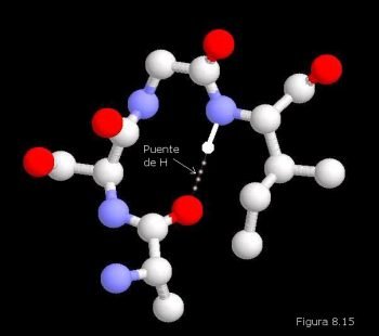 Estructura-de-las-proteínas-350x310.jpg