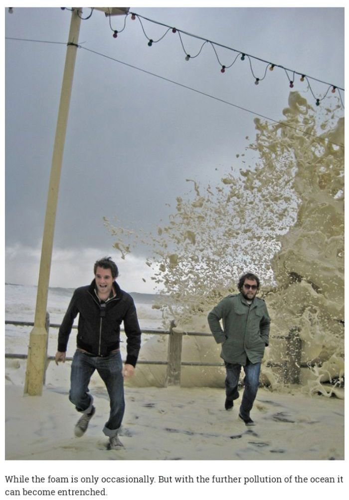 coastal cuppacino 2.jpg