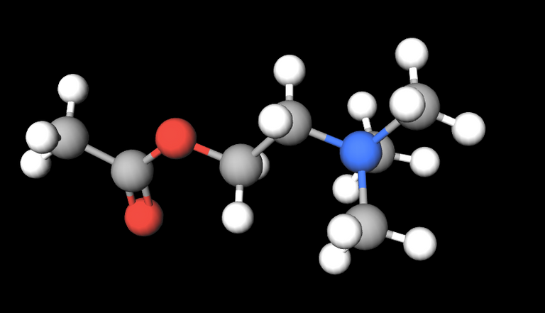Picture Molecule Acetylcholine 800 460.png