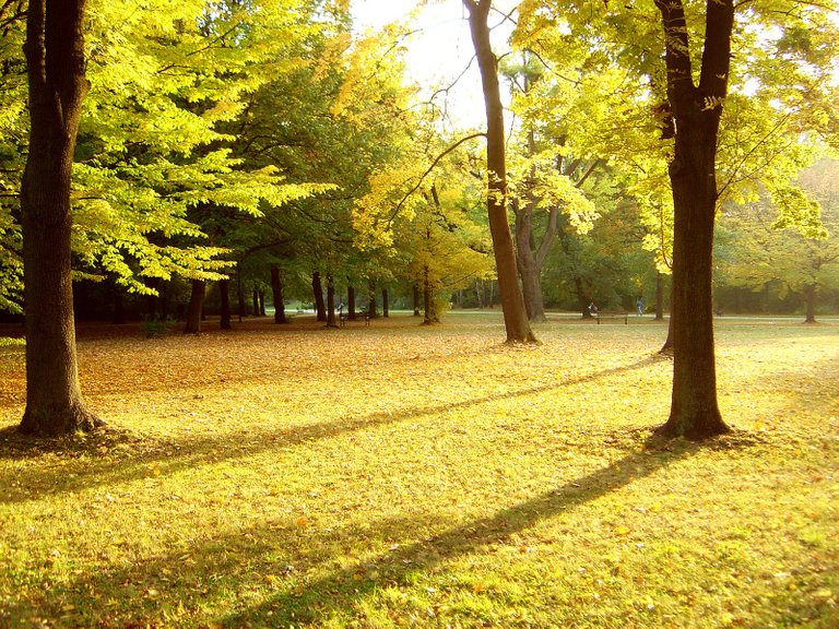 Park-Desktop-Wallpaper-16838.jpg