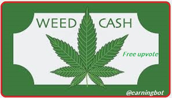 weedcash.jpg