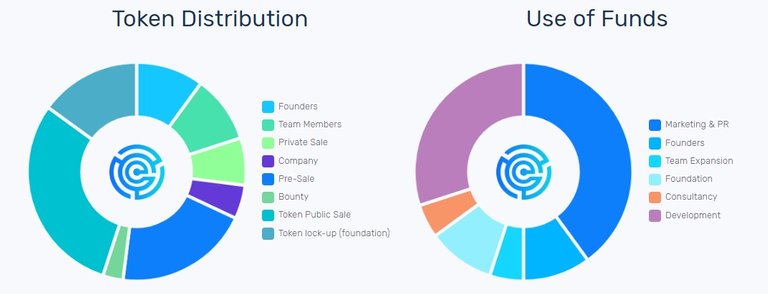 dnatix token distribution.jpg