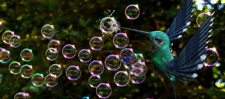 soap-bubbles-3550705_960_720.jpg