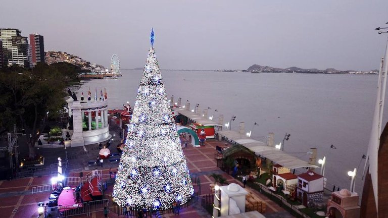 arbol_en_malecon_2000_arbol_en_malecon_2000_-_12ef3f71-c5dc-478a-b5c5-b252a339ff69_27729801.jpg