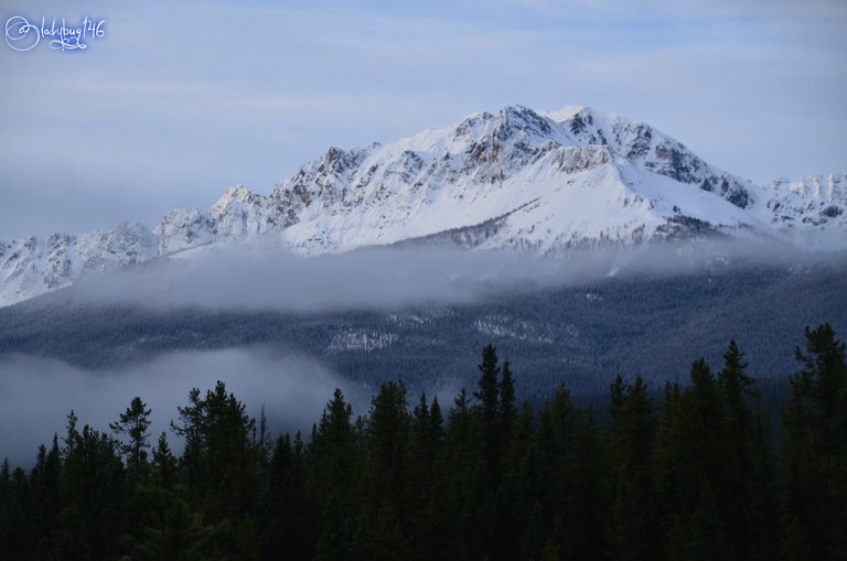 bow valley parkway5.jpg