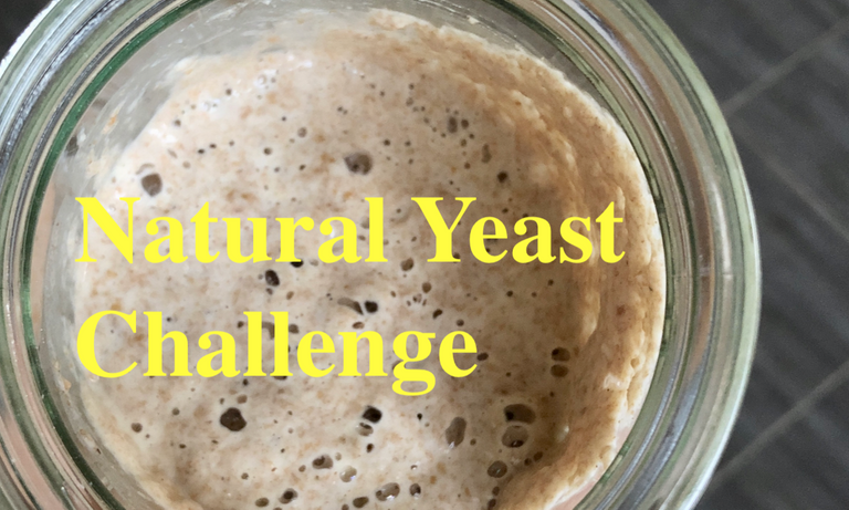 Natural Yeast Challenge