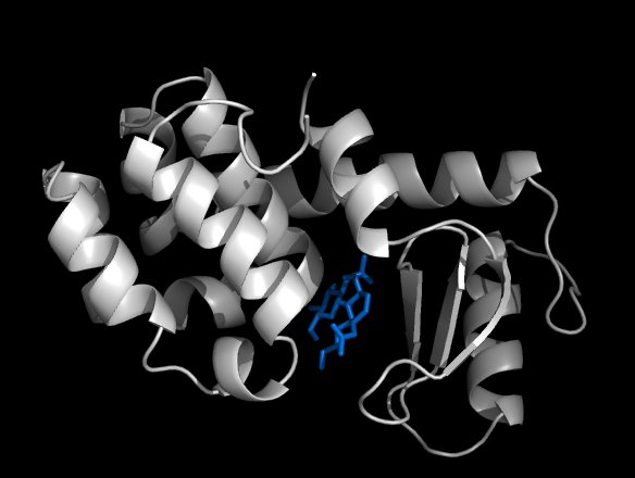 lysozyme_cartoon_PyMol.png