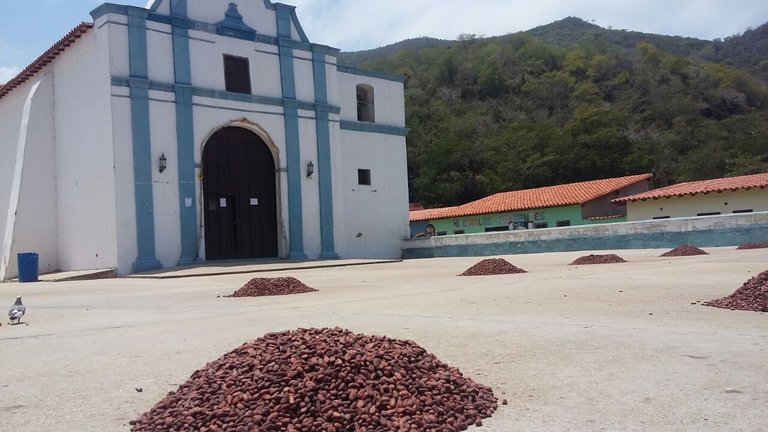 Choroní y el Cacao.jpg