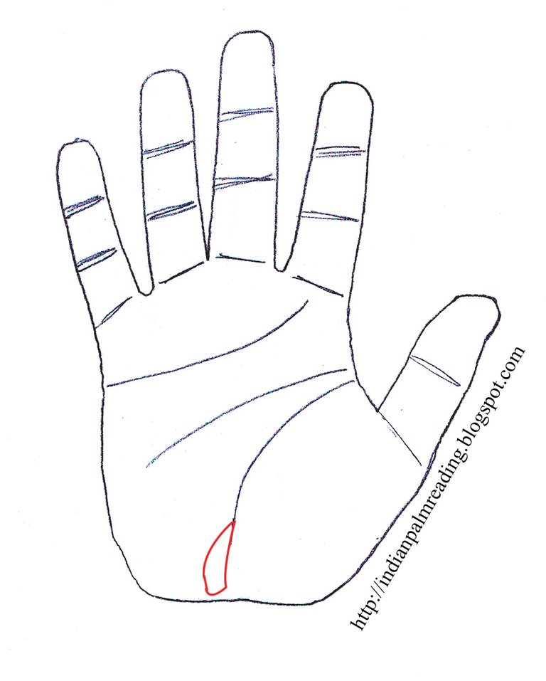 indian_palmistry-palm reading_fish_sign_symbol_mark_kite_line.jpg