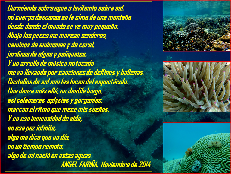 Poema del mar.png