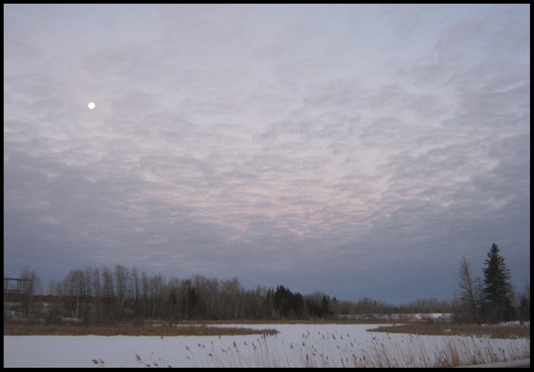 moon rising in slightly pink clouds over frozen pond.JPG