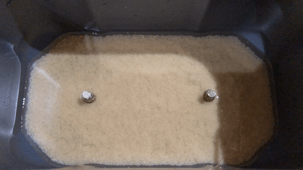 (GIF) Yeast activating and floating to the surface (realtime)