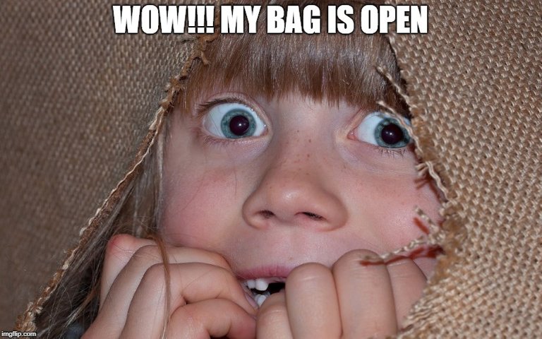 mybag.jpg