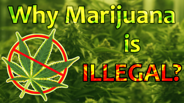 Marihuana gotowa na Steemit ENG#2.png