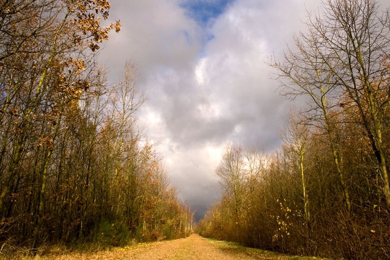 thunderclouds_3052985544_o.jpg