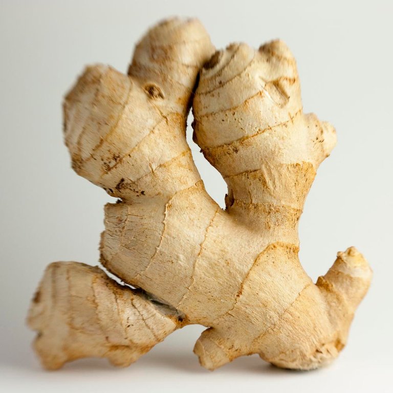 mg1874-ginger-root-square-web.jpg