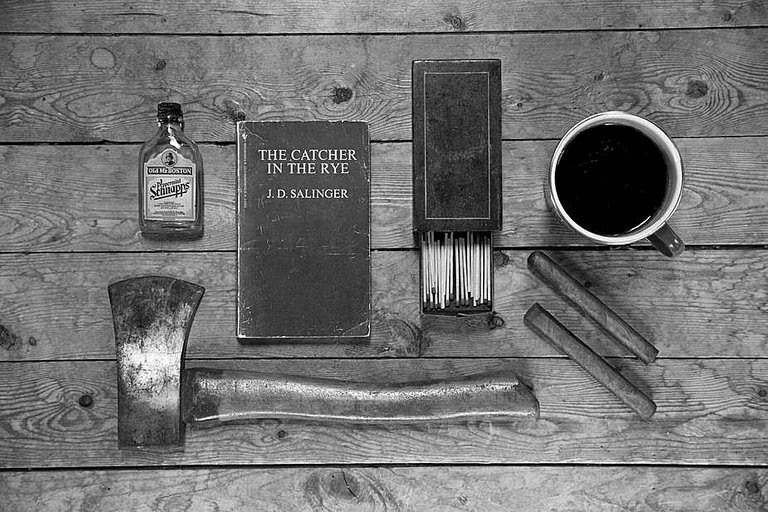 camping-flatlay-with-classic-book_925x (1).JPG