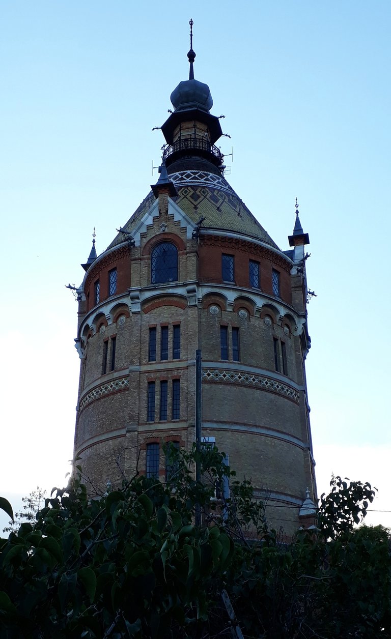 Wasserturm 2019 (16).jpg