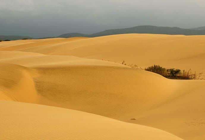 Parque_Nacional_Medanos_de_Coro.jpg