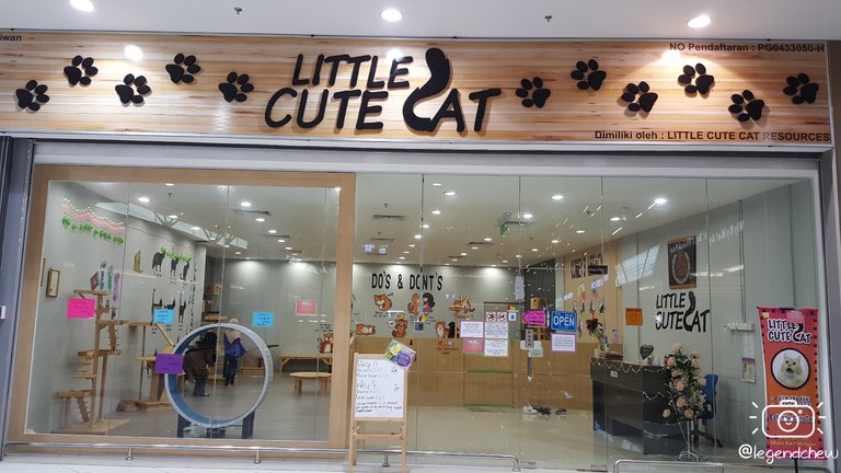 legendchew_little_cute_cat_shop (5).jpg