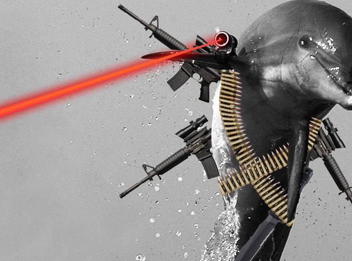 dolphin_with_guns0.jpg