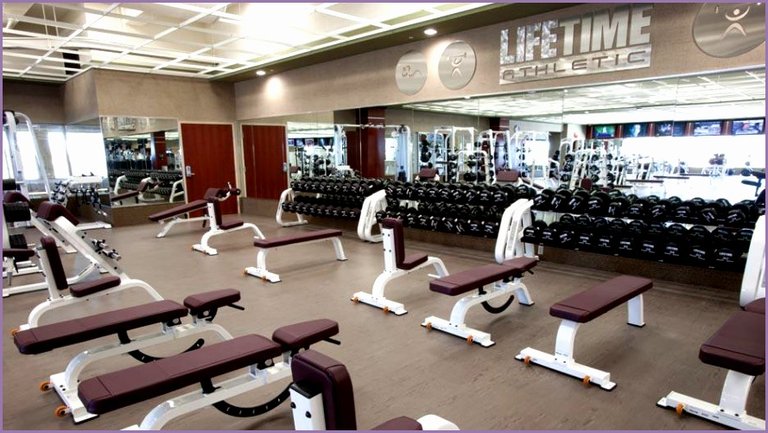 lifetime-fitness-weight-room-533936quigsc-best-of-mississauga-.jpg